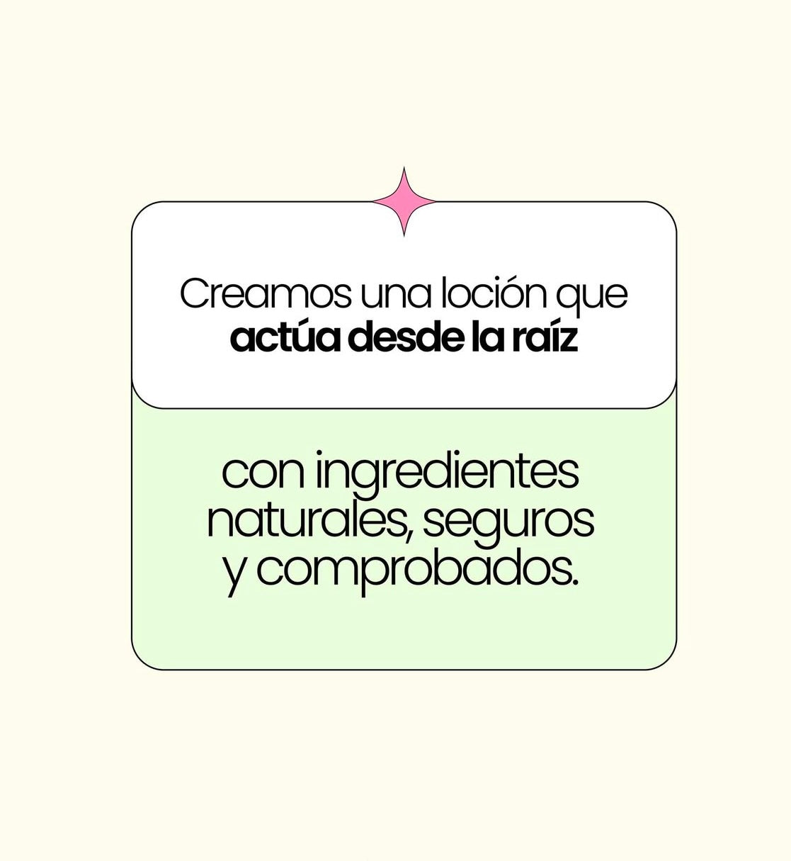 Loción Anticaída con extractos naturales. 125 ml