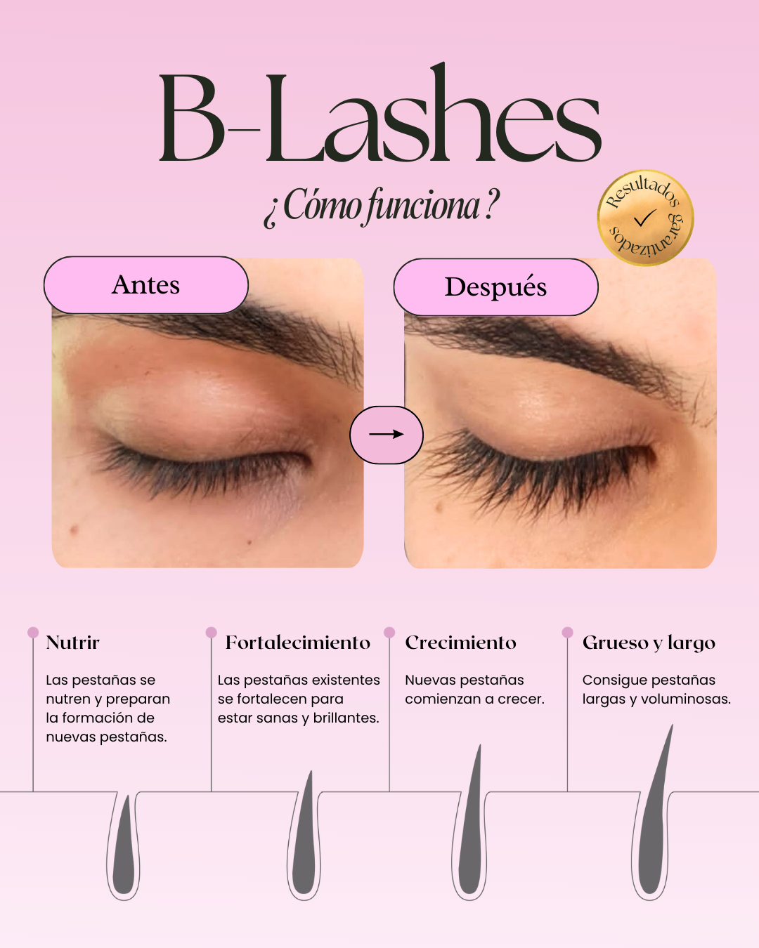 B-Lashes Suero Crecimiento Pestañas y Cejas.
